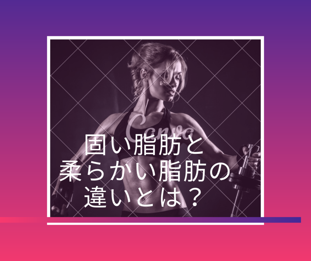 デブ卒業 脂肪が固いのと柔らかいのの違いとは 脂肪の秘密 おかたんブログ